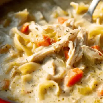 Creamy Chicken Noodle Soup